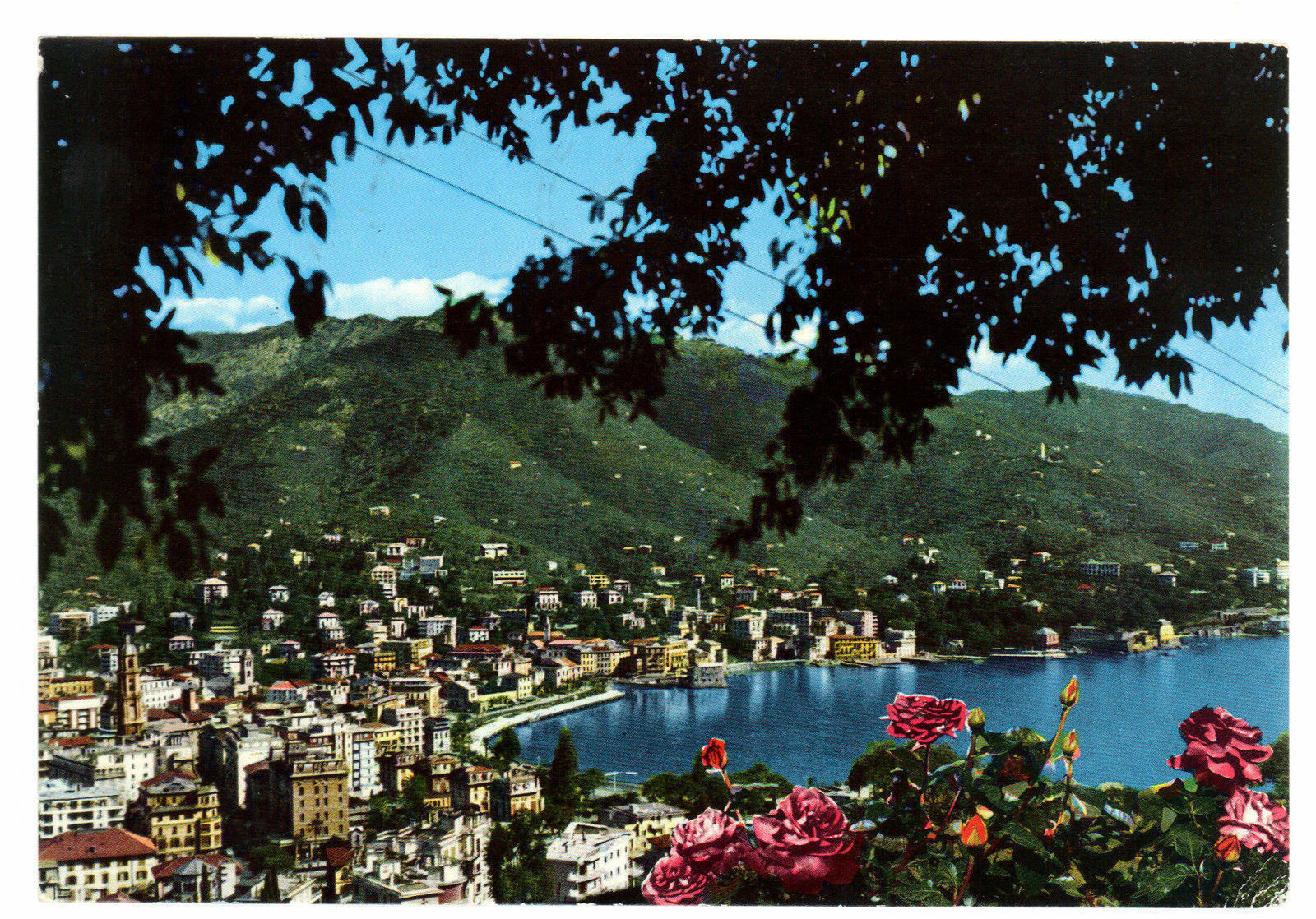 RAPALLO - PANORAMA - V1968