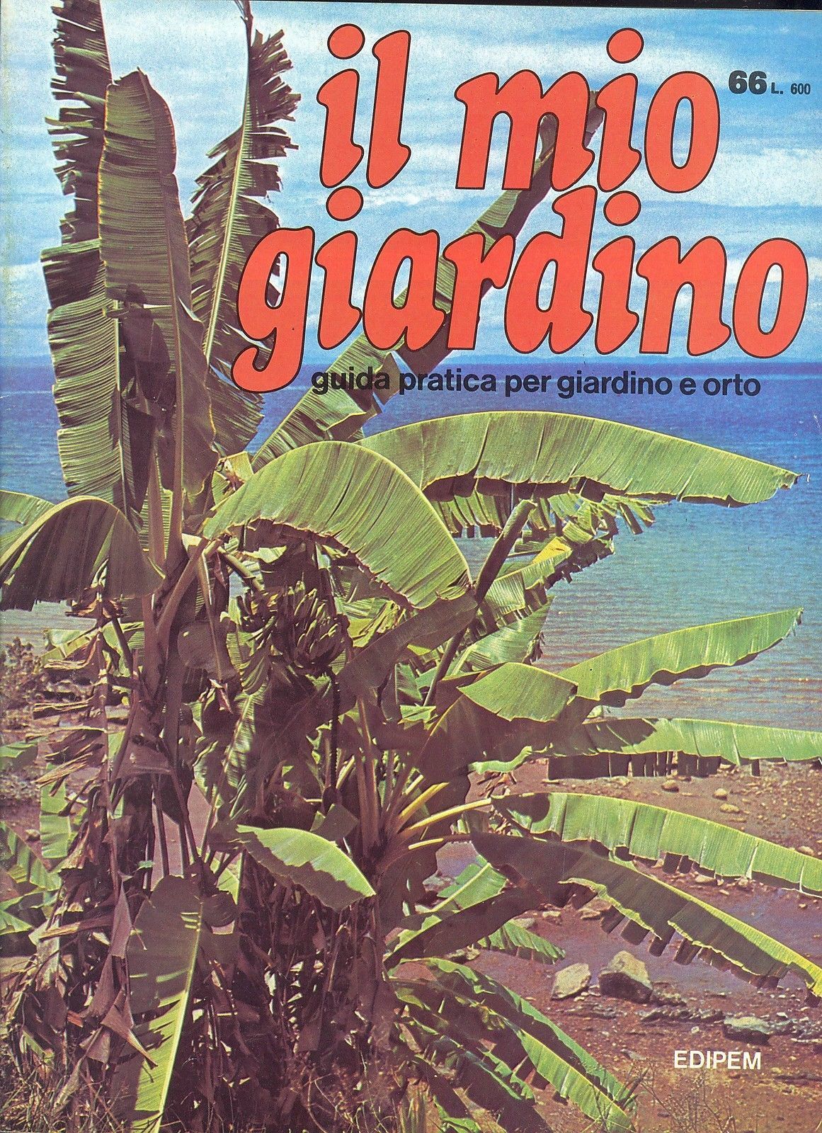 IL MIO GIARDINO N 66