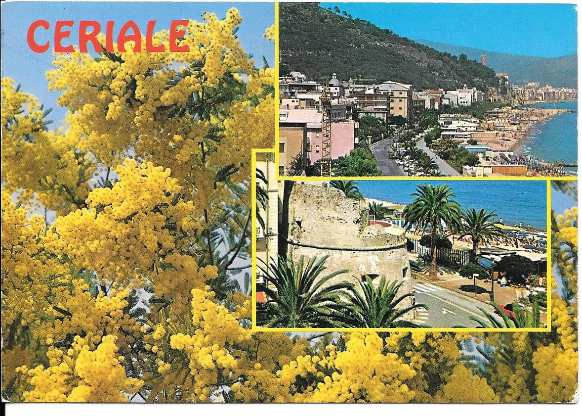 CERIALE - DUE VEDUTE - V1994