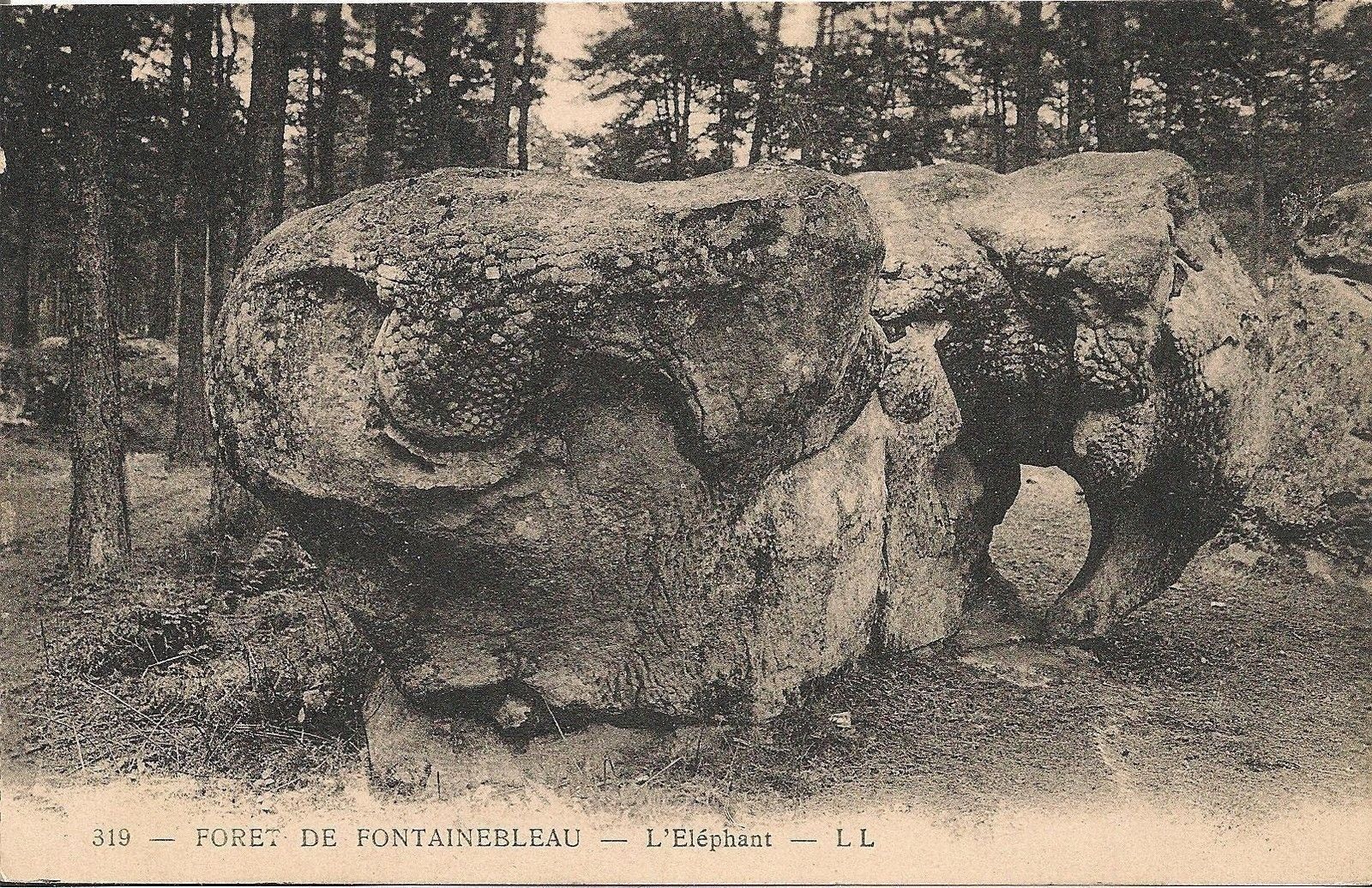 FORET DE FONTAINEBLEAU - L'ELEPHANT - NV