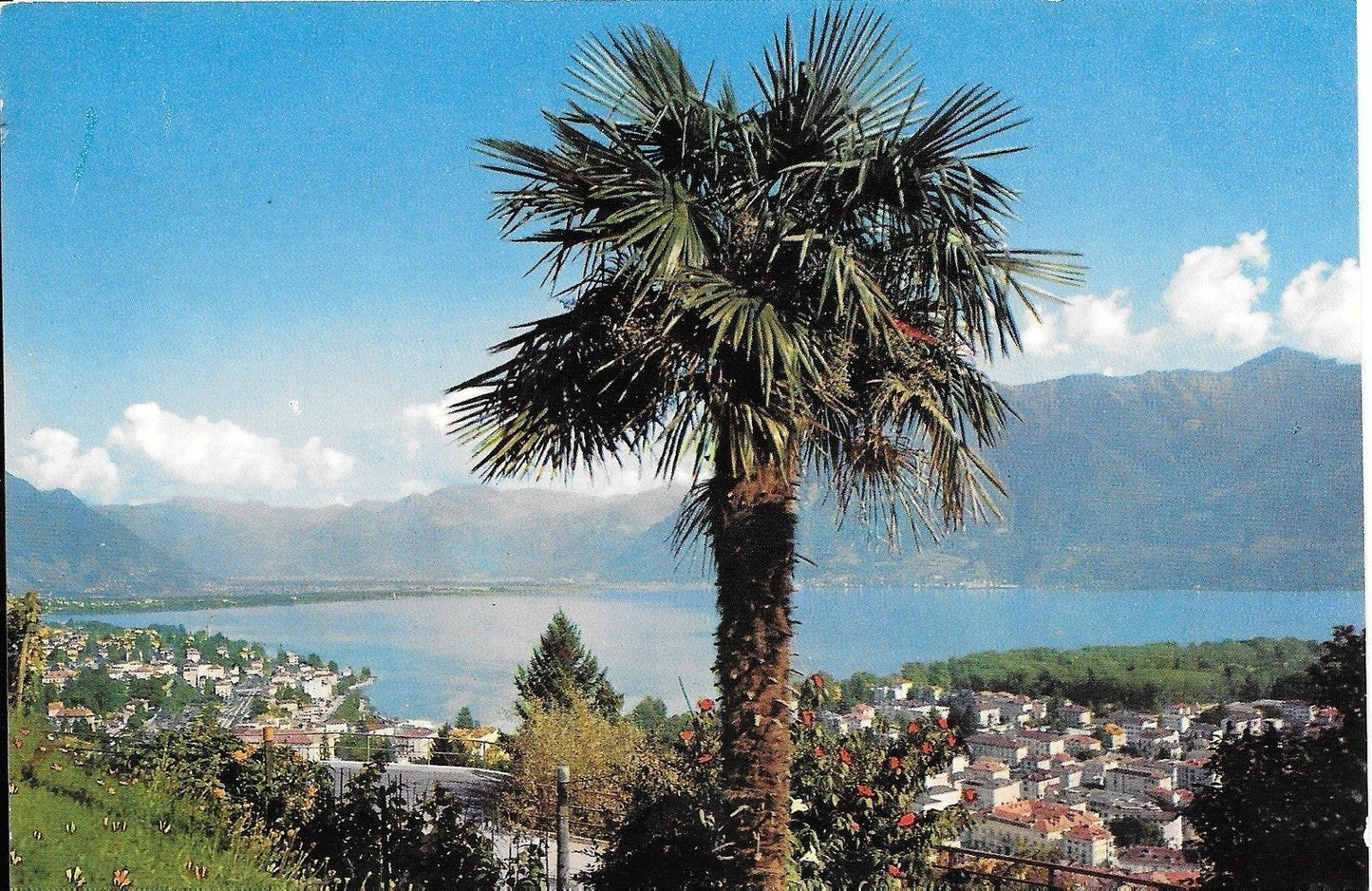 LOCARNO - LAGO MAGGIORE - SVIZZERA - NV