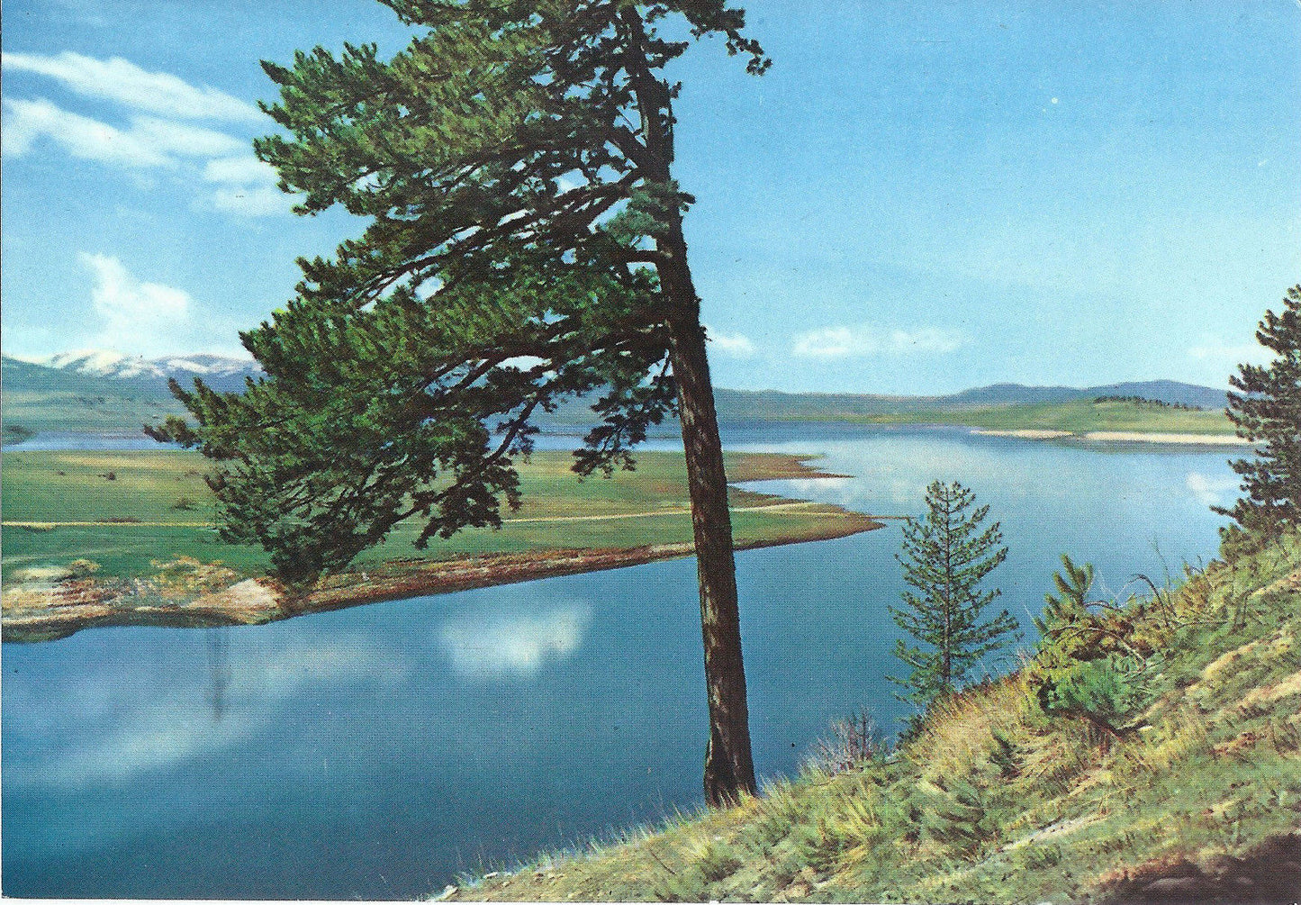 CALABRIA - SILA - LAGO CECITA - NV