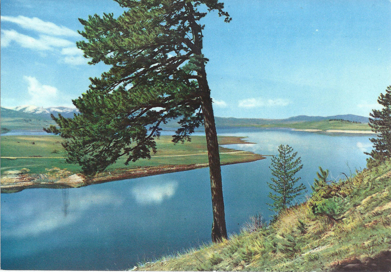 CALABRIA - SILA - LAGO CECITA - NV