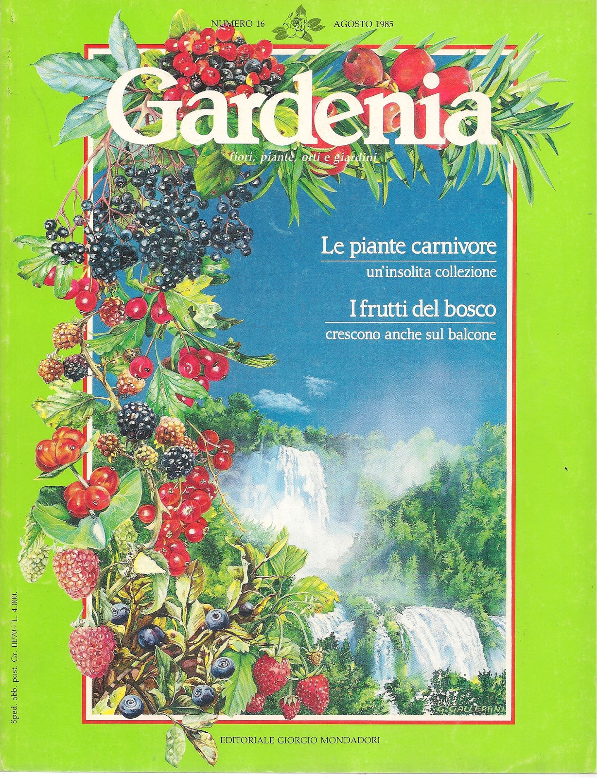 GARDENIA N . 16 - AGOSTO 1985