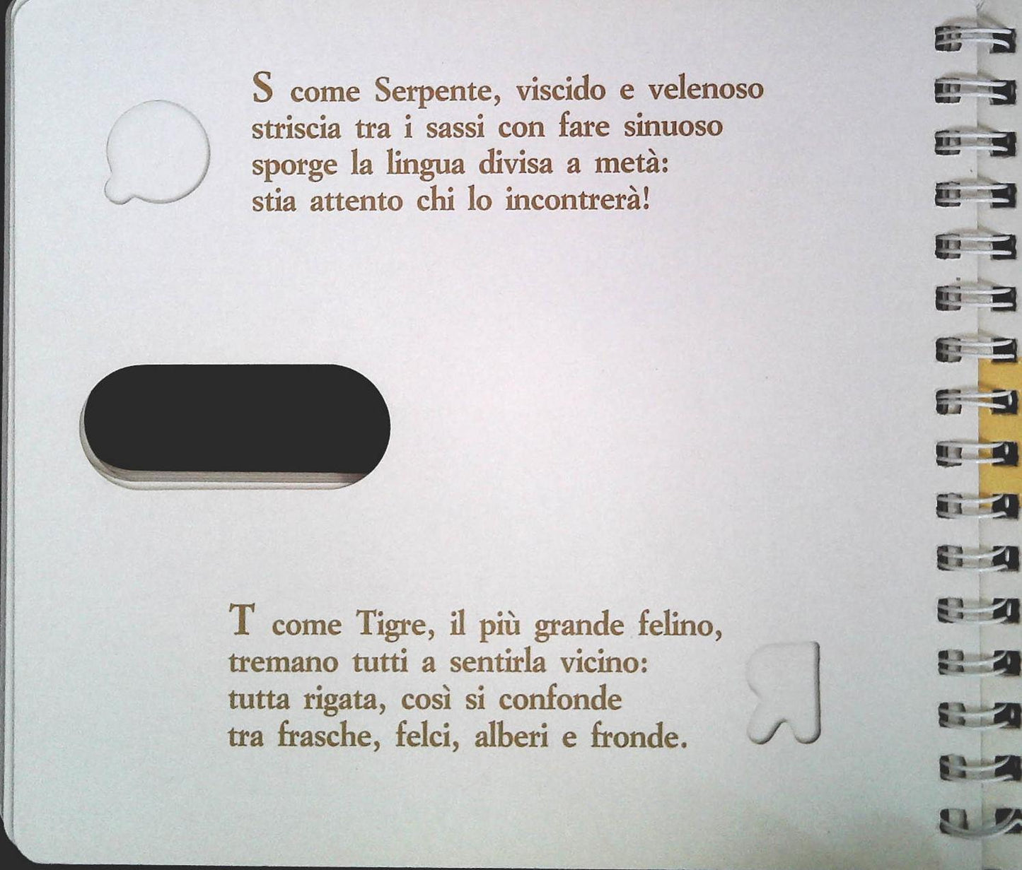 ANIMALFABETO - LA COCCINELLA 1985 - OUTELT DEL LIBRO