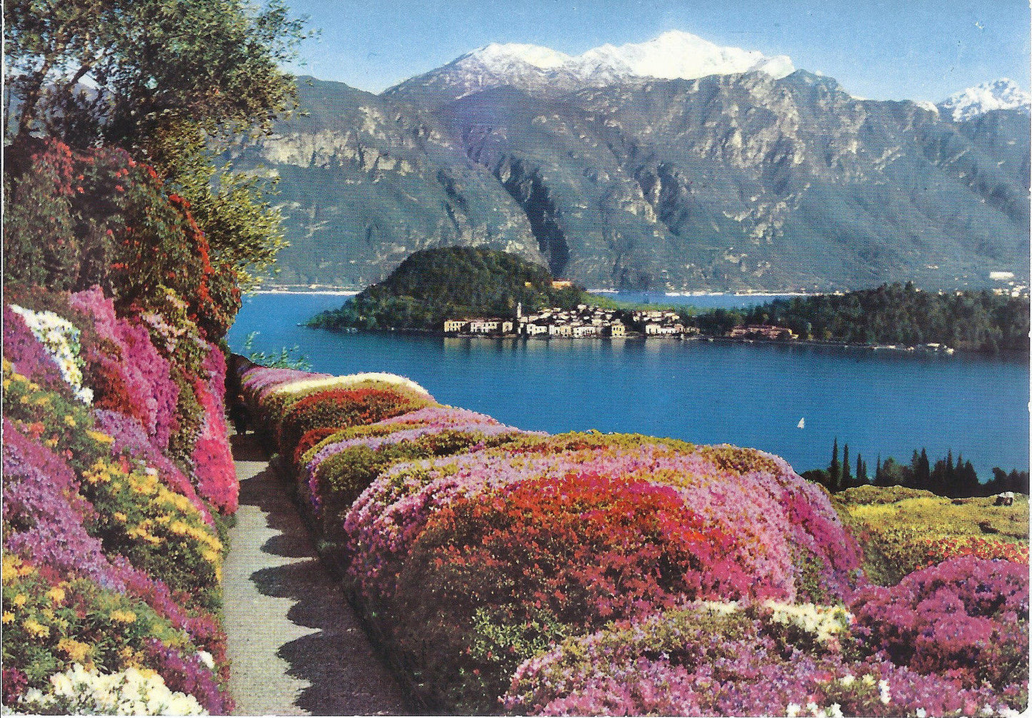 BELLAGGIO  VISTA DA VILLA CARLOTTA - NELLO SFONDO LE GRIGNE 