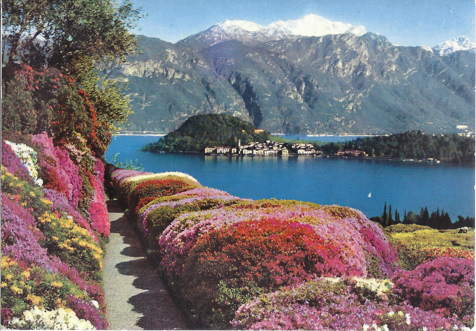 BELLAGGIO  VISTA DA VILLA CARLOTTA - NELLO SFONDO LE GRIGNE 