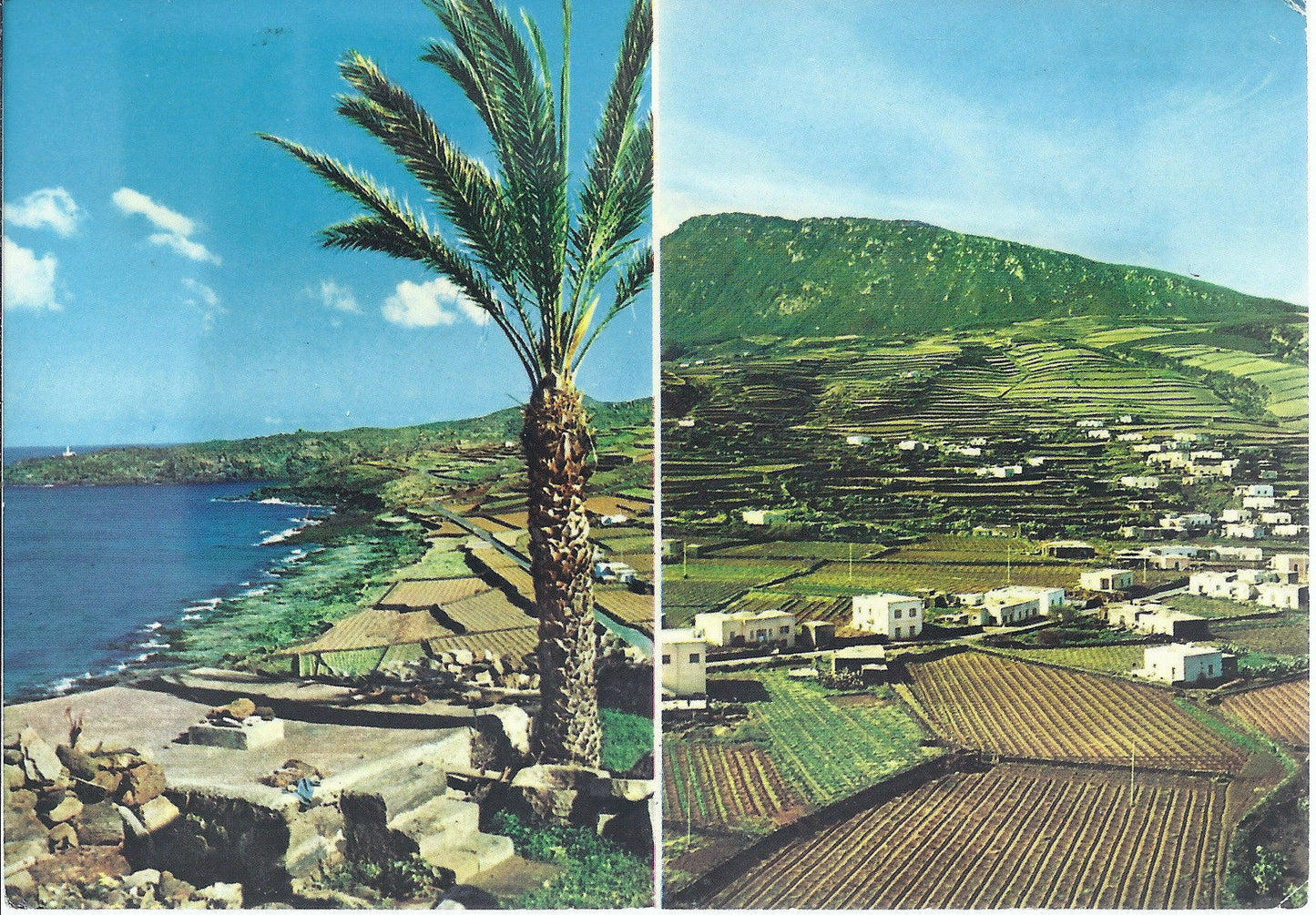 PANTELLERIA - KHARTIBUCALE - KAMMA - V1970