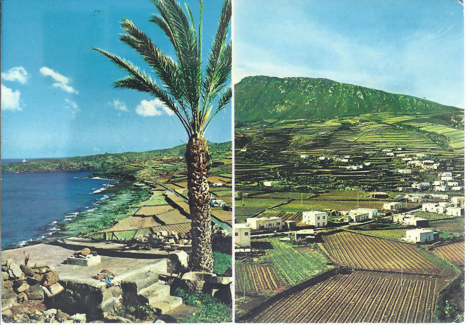PANTELLERIA - KHARTIBUCALE - KAMMA - V1970