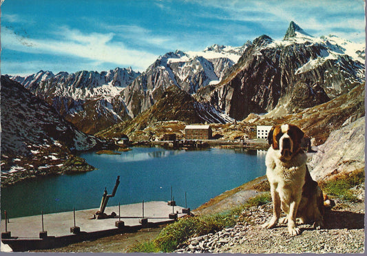 VALICO DEL GRAN S. BERNARDO - LAGO E VERSANTE ITALIANO - V 1