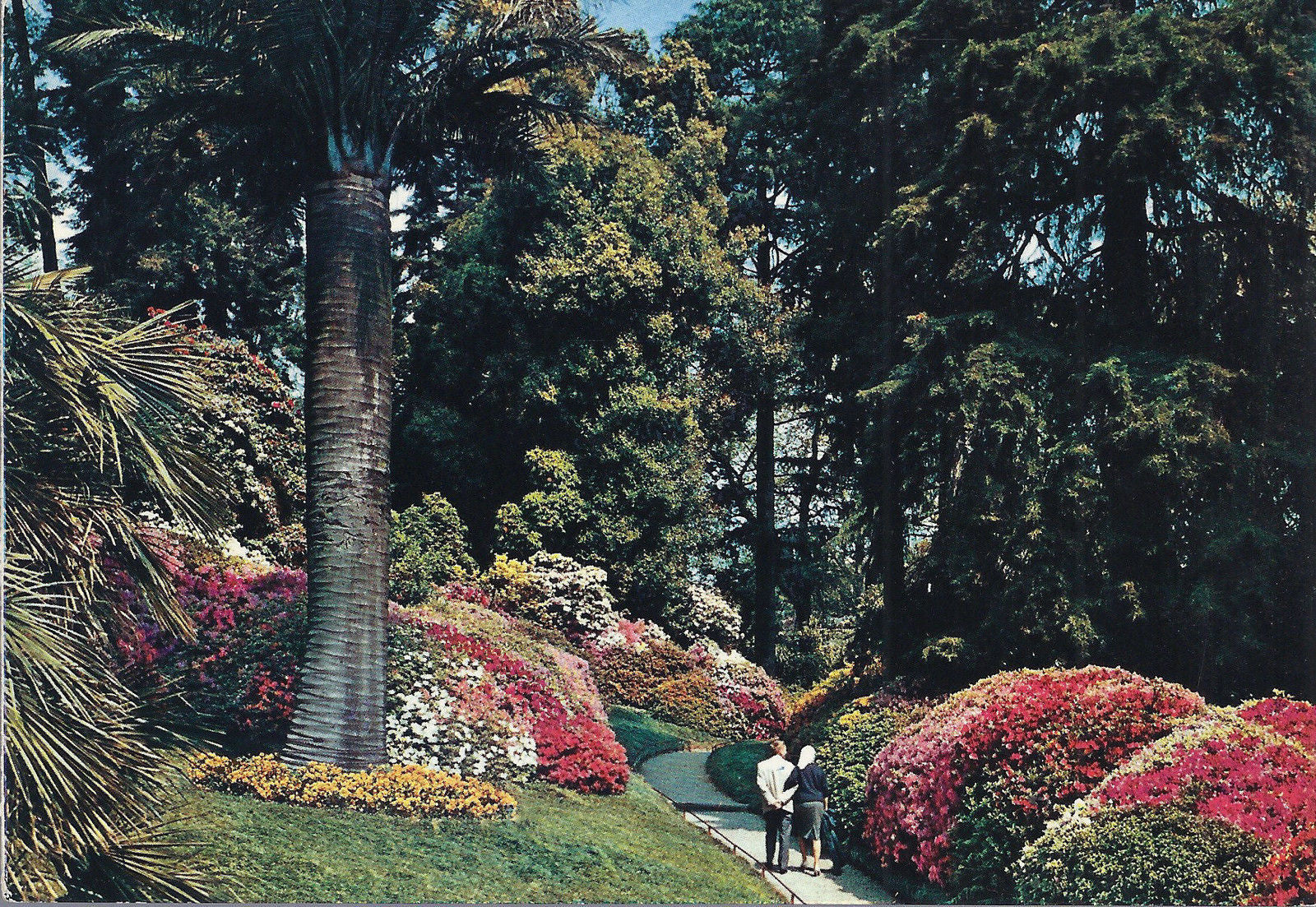 LAGO DI COMO - VILLA CARLOTTA - IL PARCO - NV - FG