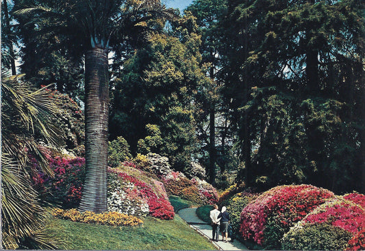 LAGO DI COMO - VILLA CARLOTTA - IL PARCO - NV - FG