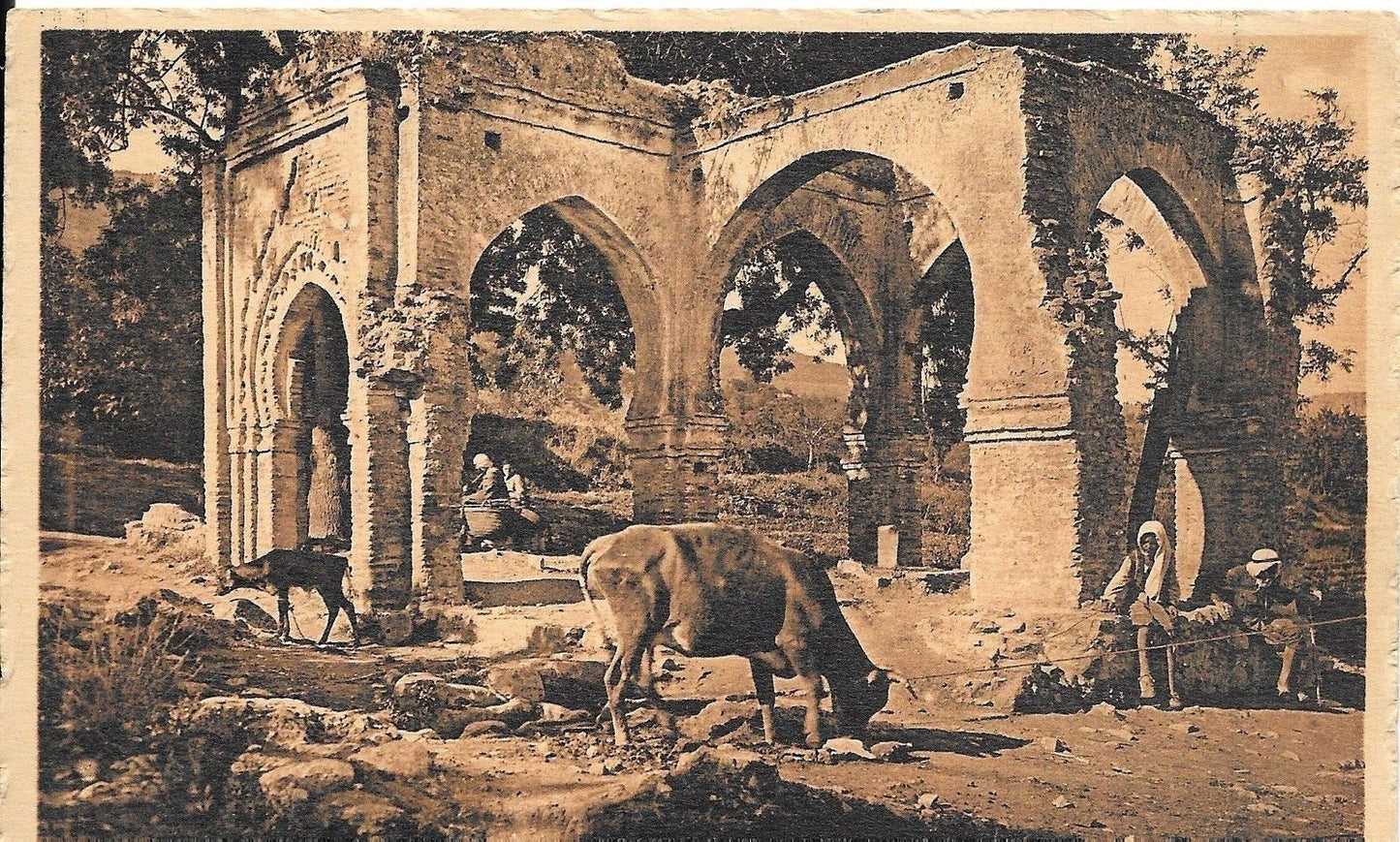 TLEMCEN - ALGERIA - TOMBEAUX DE SIDI ABOU ISHAK ET TAYAR - N