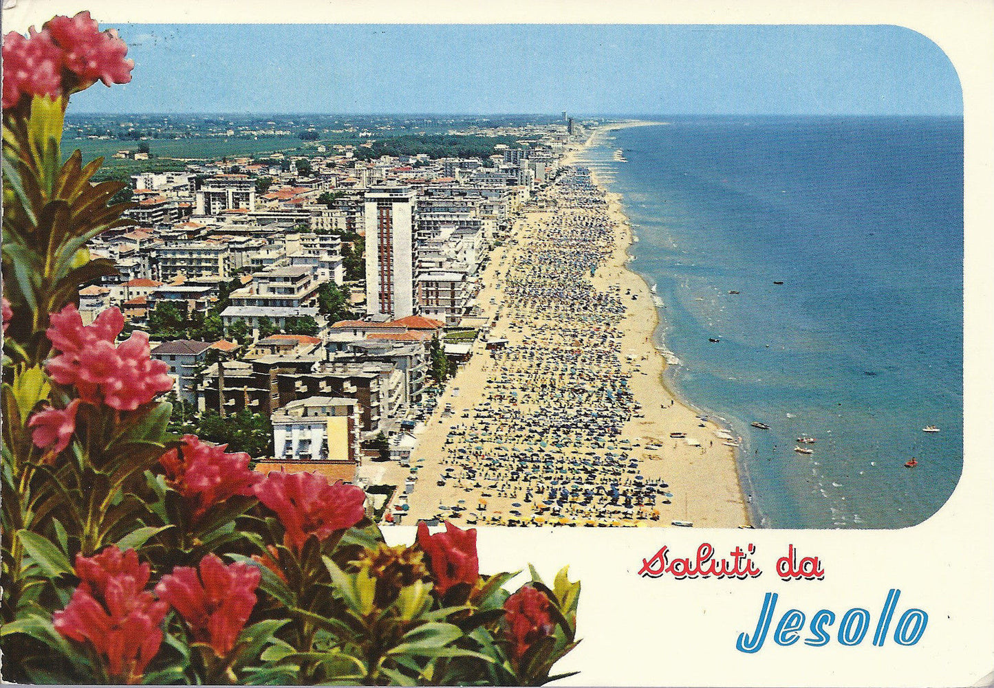 JESOLO - SALUTI - VEDUTA AEREA - V 1972 - FG