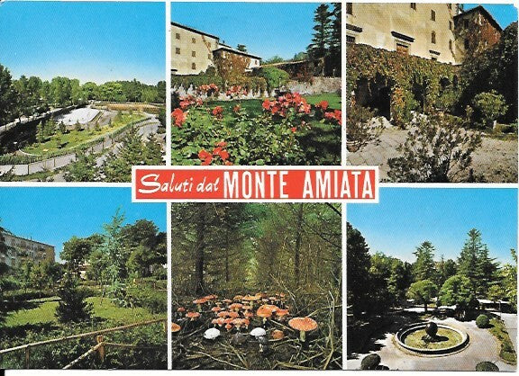 SALUTI DAL MONTE AMIATA - 6 IMMAGINI - V1991