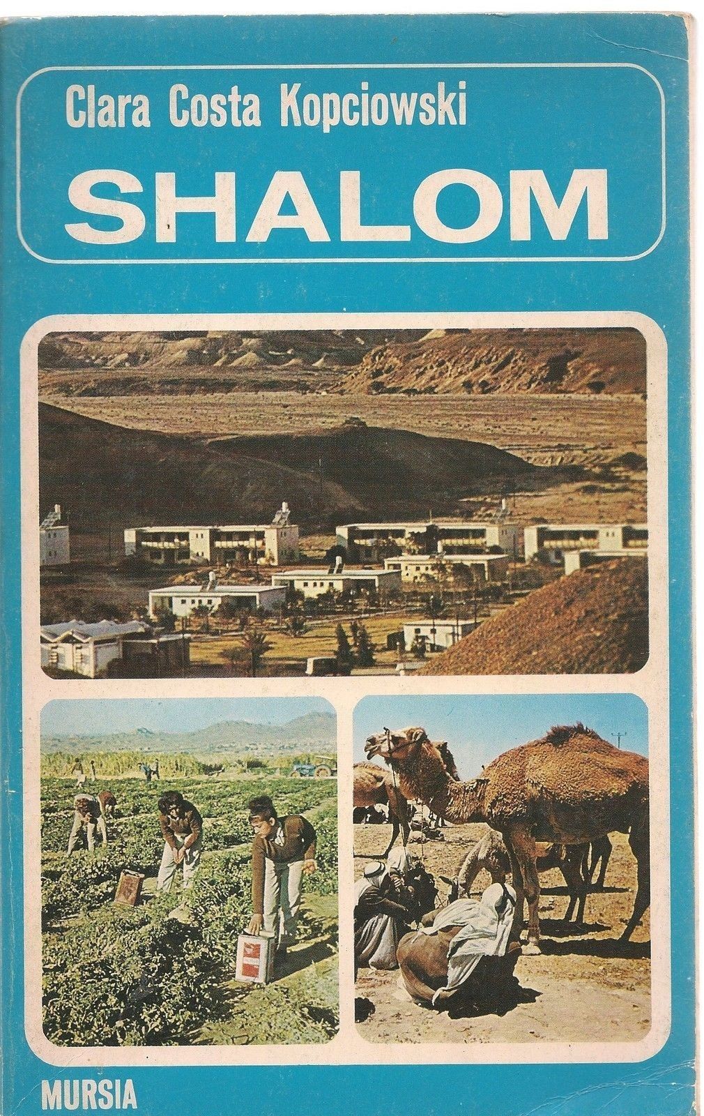 SHALOM - CLARA COSTA KOPCIOWSKI