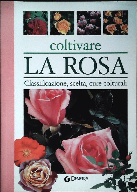 COLTIVARE LA ROSA - MARG. NERI-FAUSTA M. FAZIO-DEMETRA 2003-OUTLET DEL LIBRO