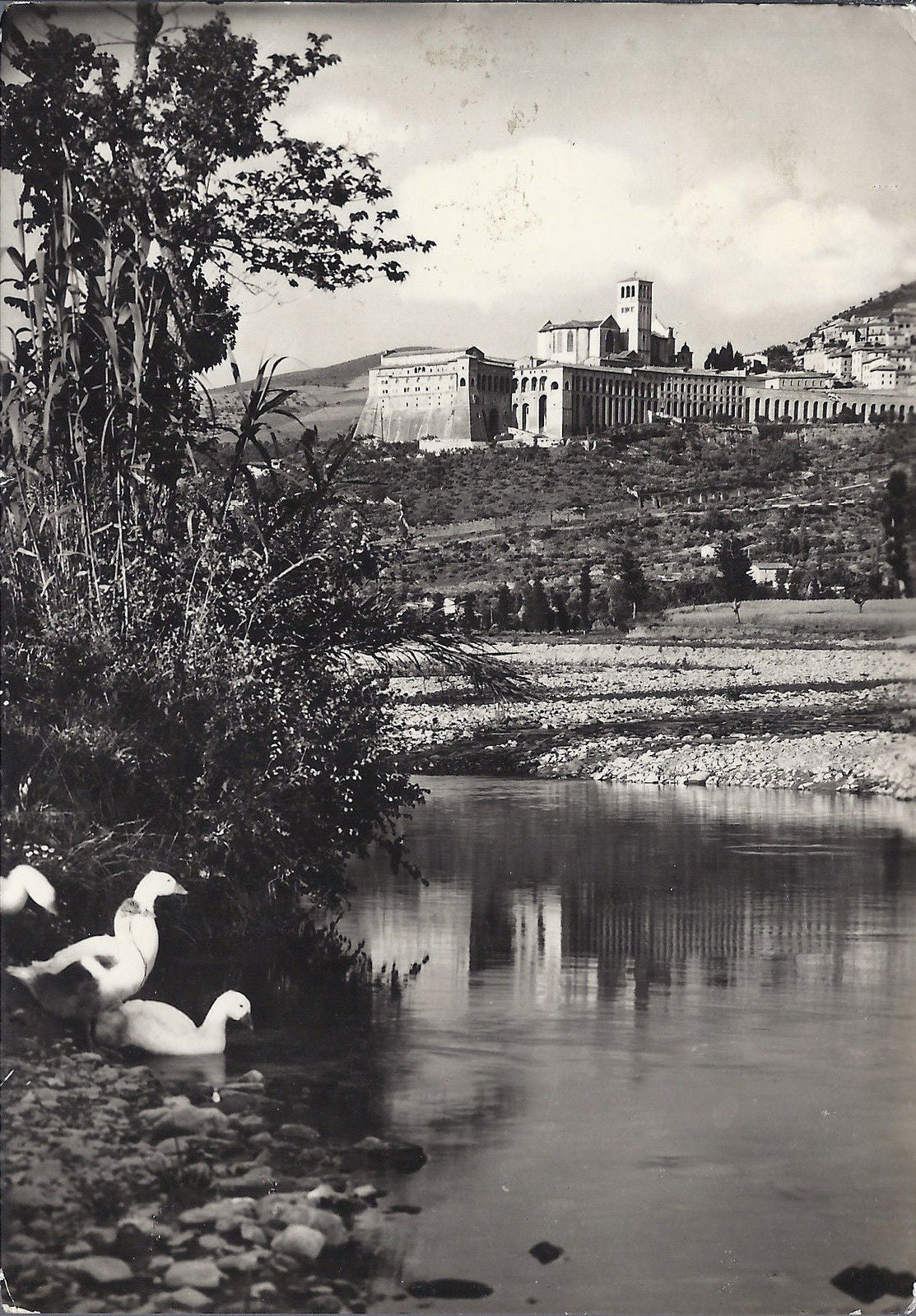 ASSISI - BASILICA DI S. FRANCESCO E SACRO CONVENTO dal Tesci