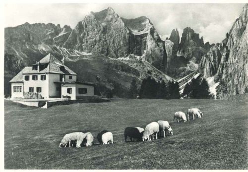 RIFUGIO CIAMPEDIE -CATINACCIO - PANORAMA - 1953