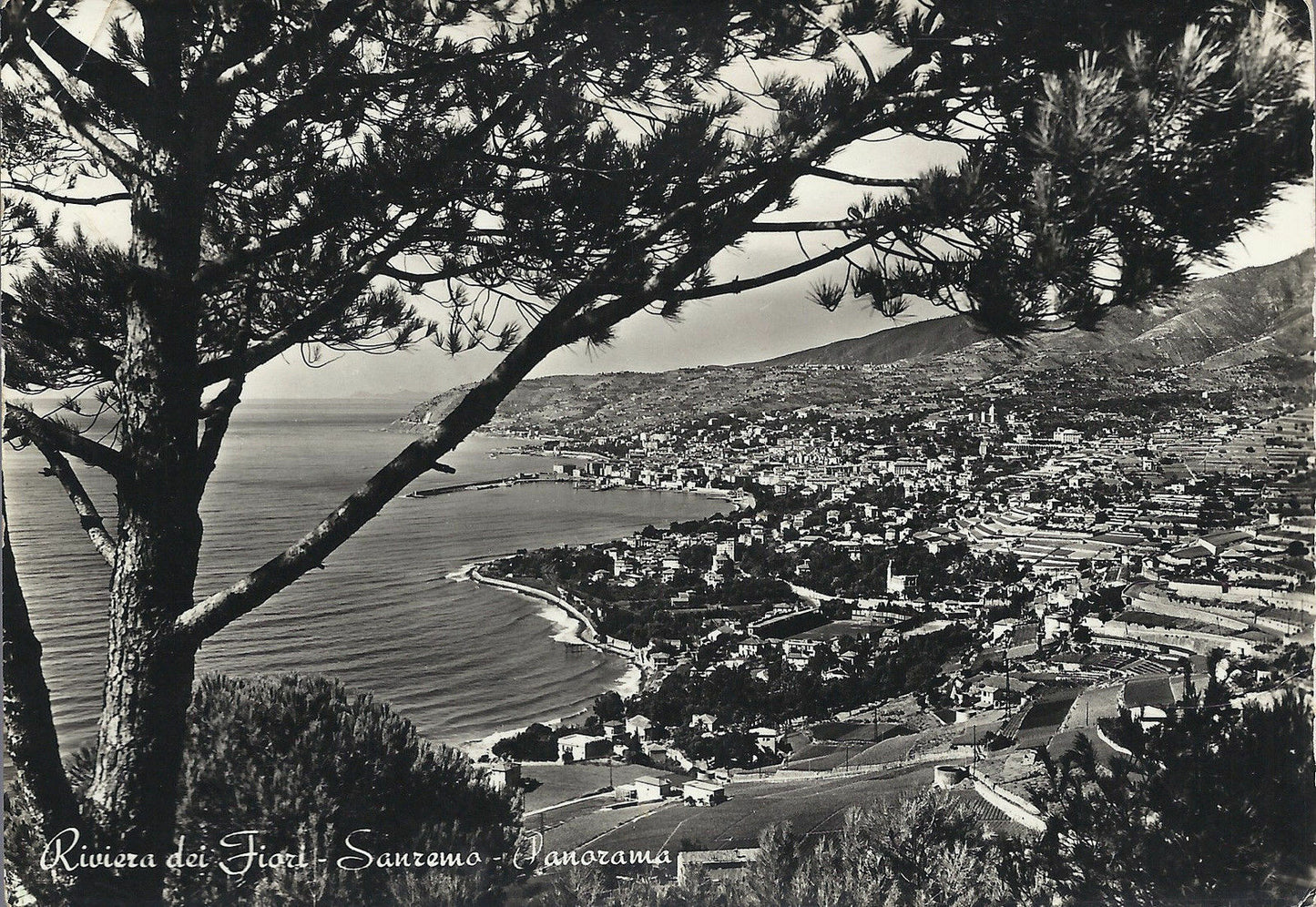 SANREMO - RIVIERA DEI FIORI - PANORAMA - V1954