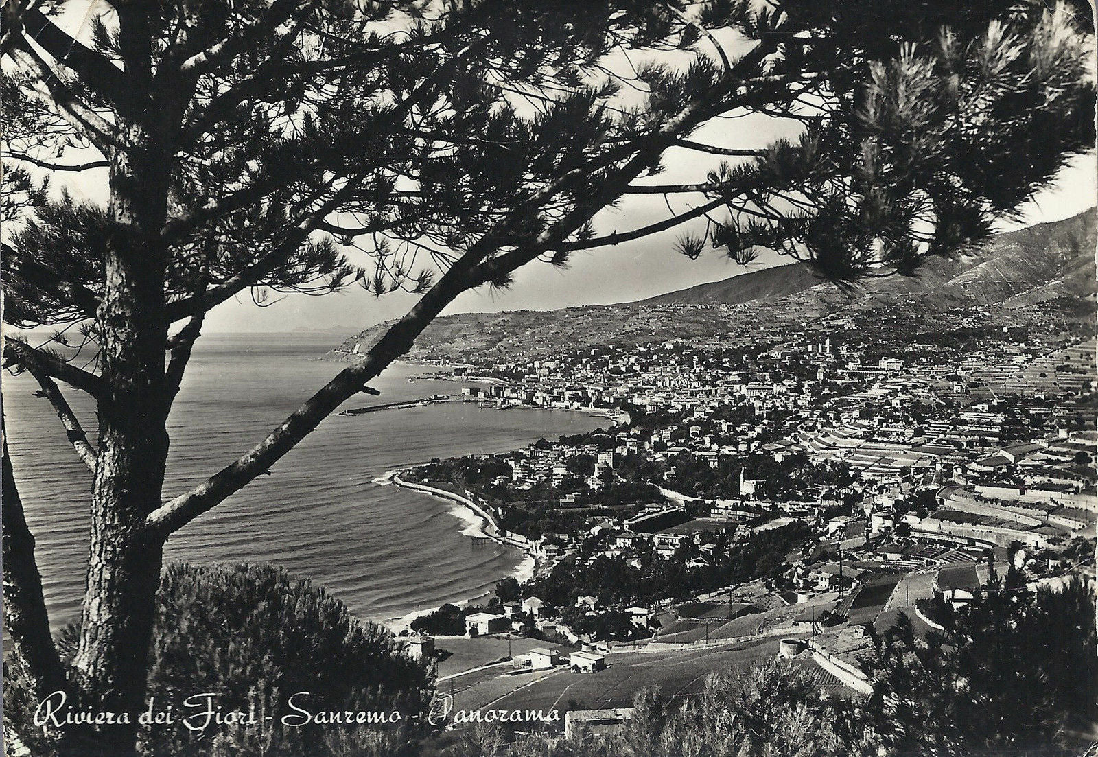 SANREMO - RIVIERA DEI FIORI - PANORAMA - V1954
