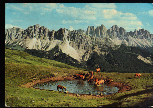 DOLOMITI - PANORAMA CON LA PUNTA ODLE - BLICK ZU DEN GEISLER