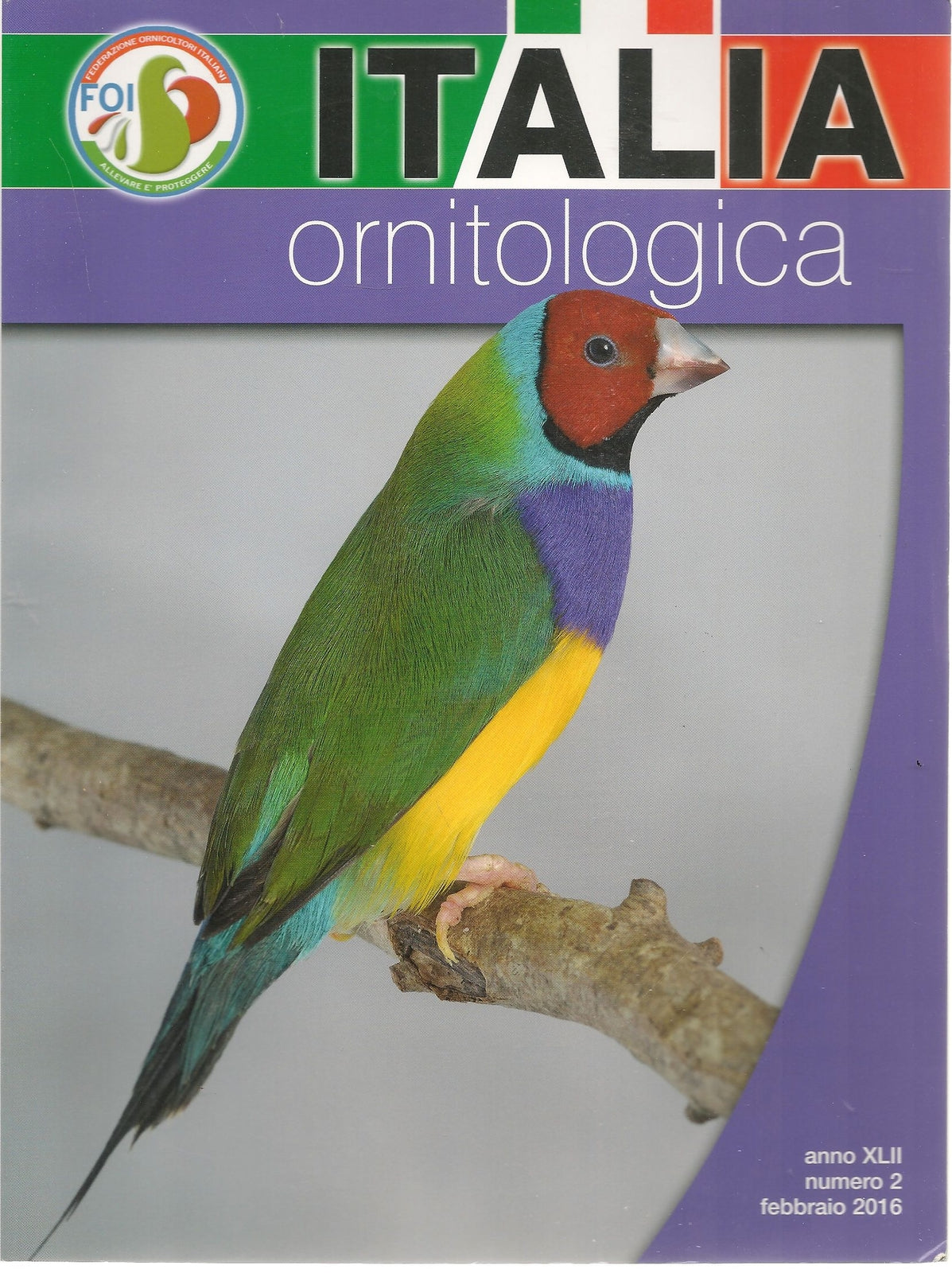 ITALIA ORNITOLOGICA - FEBBRAIO 2016