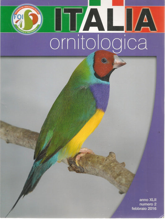 ITALIA ORNITOLOGICA - FEBBRAIO 2016