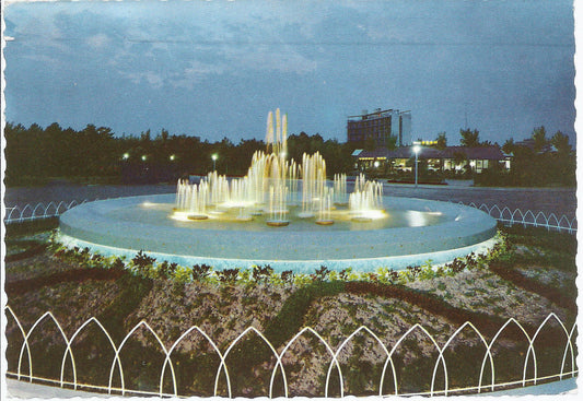 LIGNANO PINETA - FONTANA - NOTTURNO - V1962