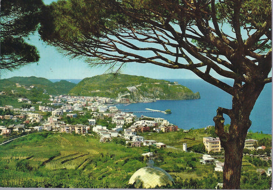 LACCO AMENO - ISOLA D'ISCHIA - PANORAMA - V 1970 - FG