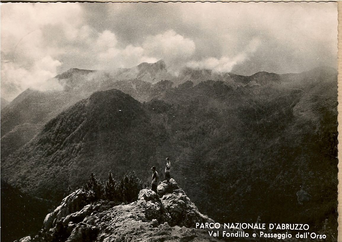 PARCO NAZIONALE D'ABRUZZO VAL FONDILLO E PASSAGGIO DELL'ORSO - V1954