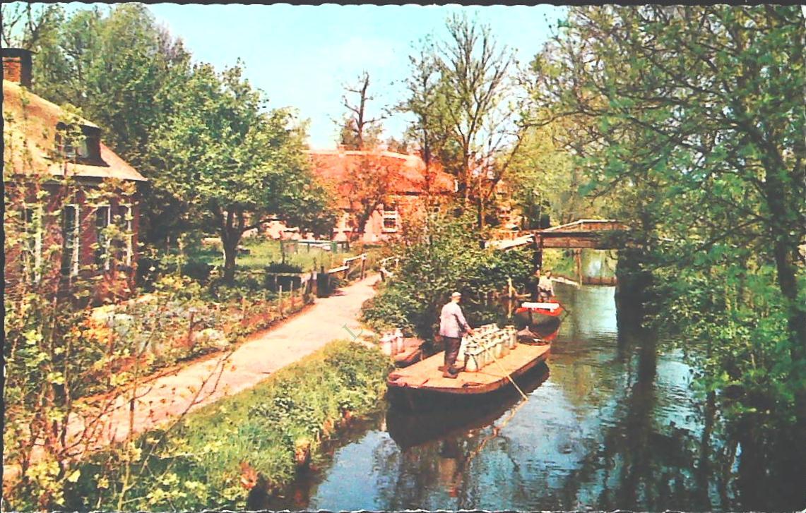 GIETHOORN - NEDERLAND - MELKVERVOER - NV