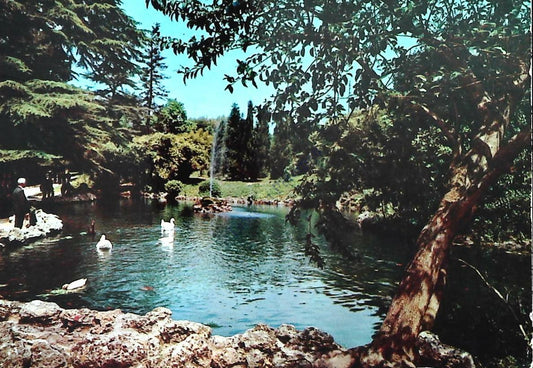 BENEVENTO - GIARDINI PUBBLICI - V1974