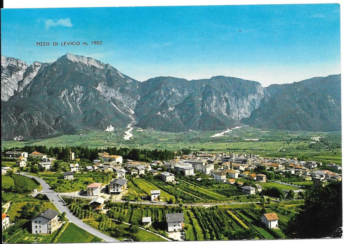 LEVICO - PANORAMA - V1940 - FG