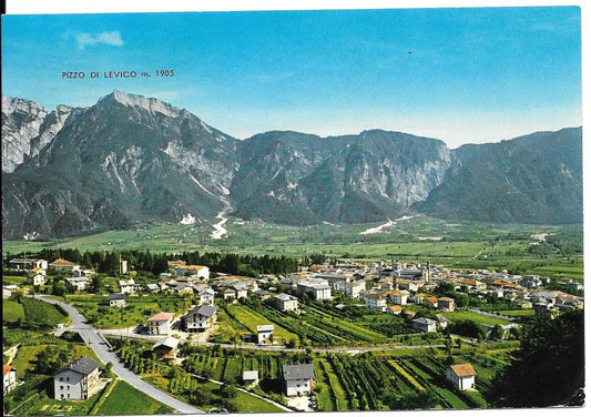 LEVICO - PANORAMA - V1940 - FG