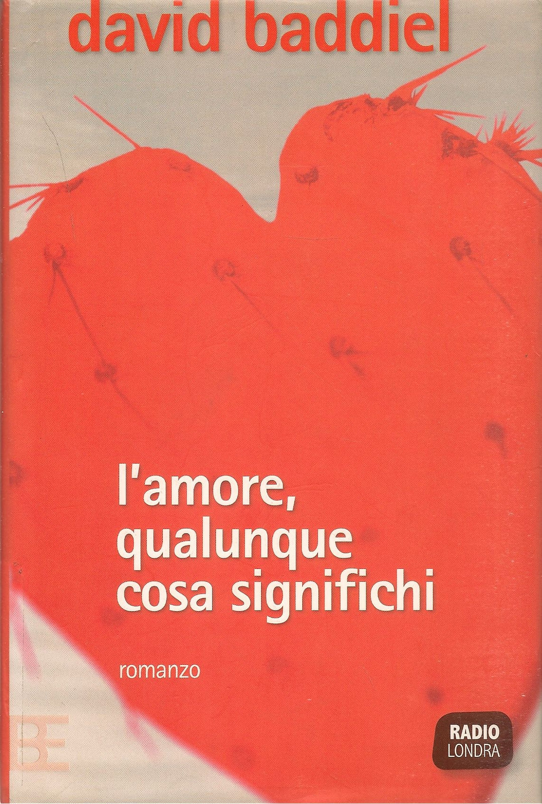 L'AMORE QUALUNQUE COSA SIGNIFICHI - DAVID BADDIEL
