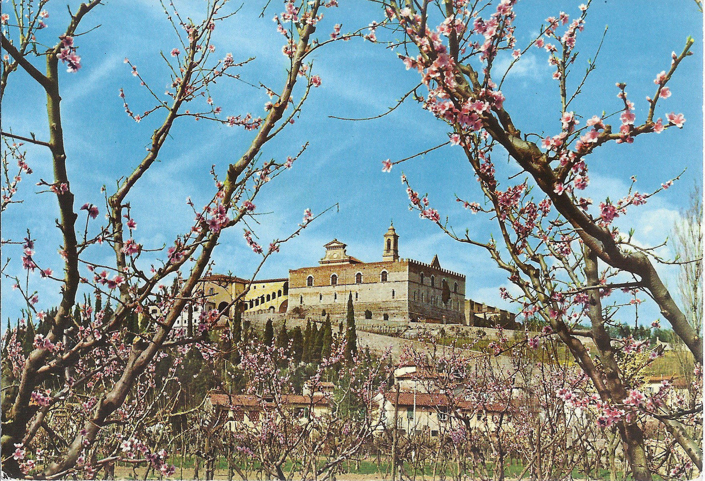 FIRENZE - LA CERTOSA DEL GALLUZZO - NV
