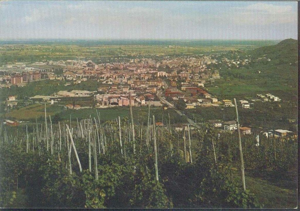 BRONI - PANORAMA - NV