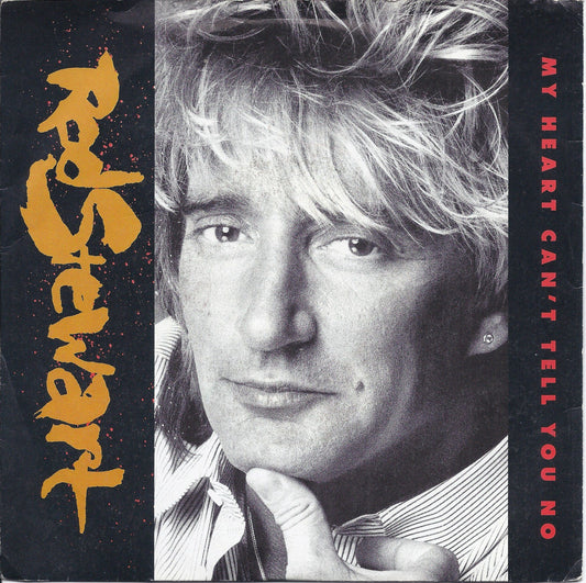MY HEART CAN'T TELL YOU NO - THE WILD HORSE -- ROD STEWART
