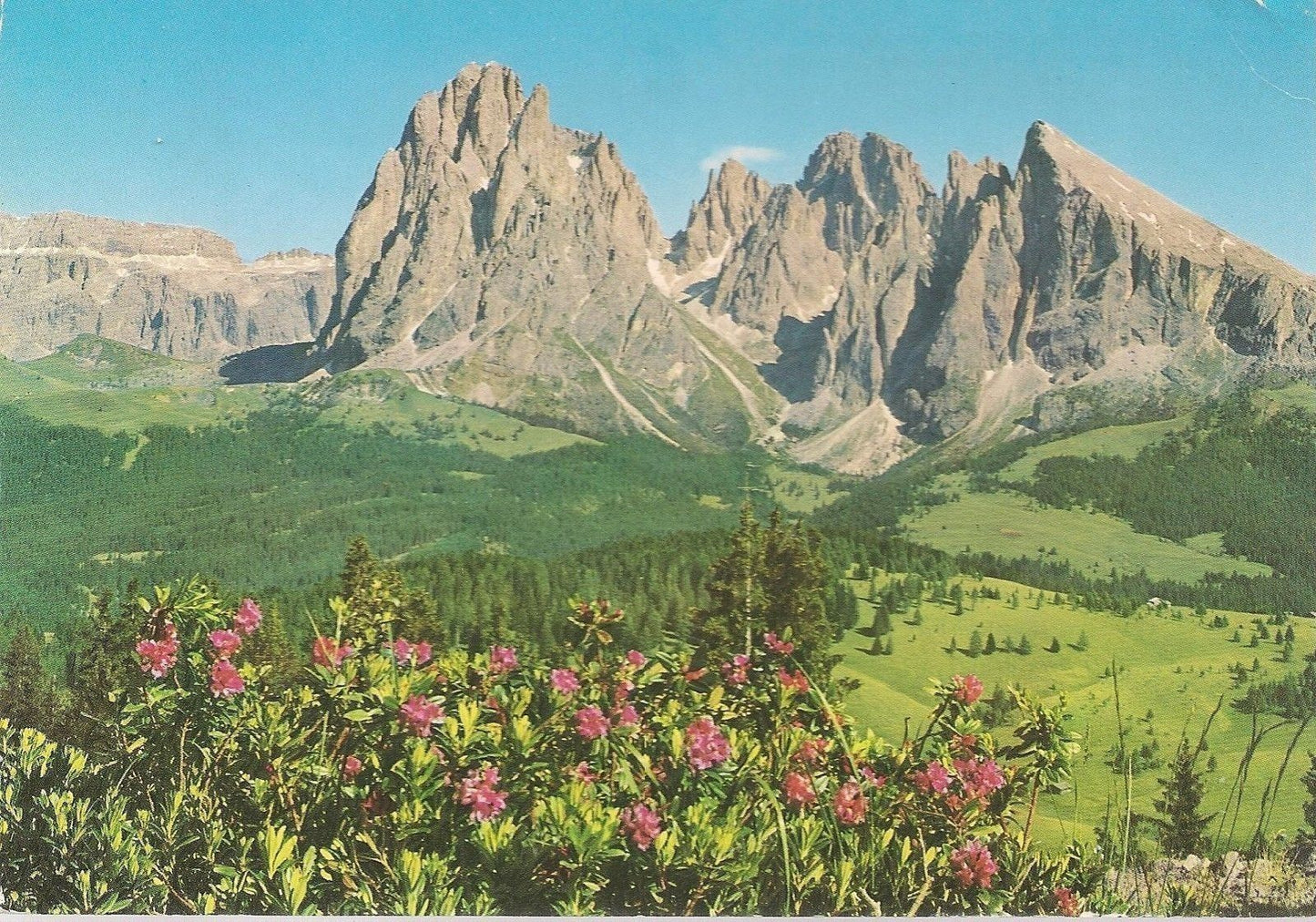 GRUPPO DEL SASSOLUNGO - PANORAMA - V1988
