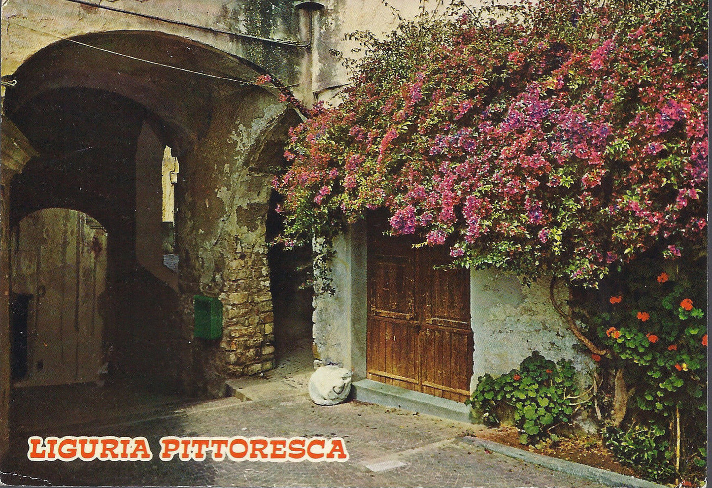 LIGURIA PITTORESCA - CARUGIO CARATTERISTICO - V1983