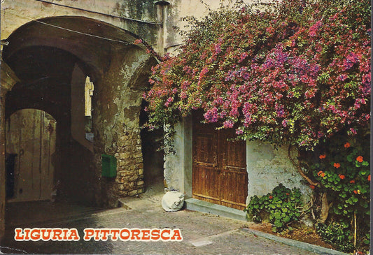 LIGURIA PITTORESCA - CARUGIO CARATTERISTICO - V1983