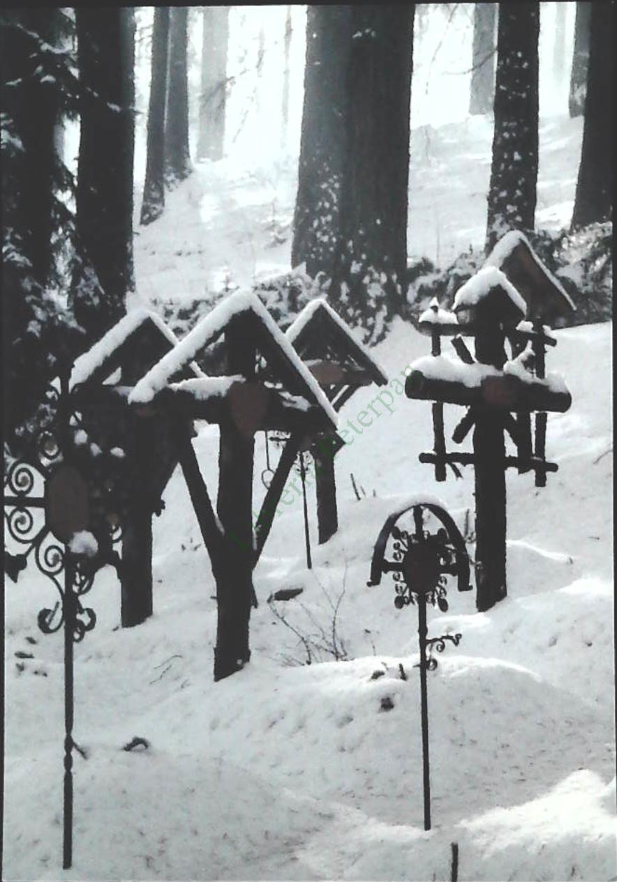 BRUNICO - CIMITERO DI GUERRA - PARTICOLARE - NV