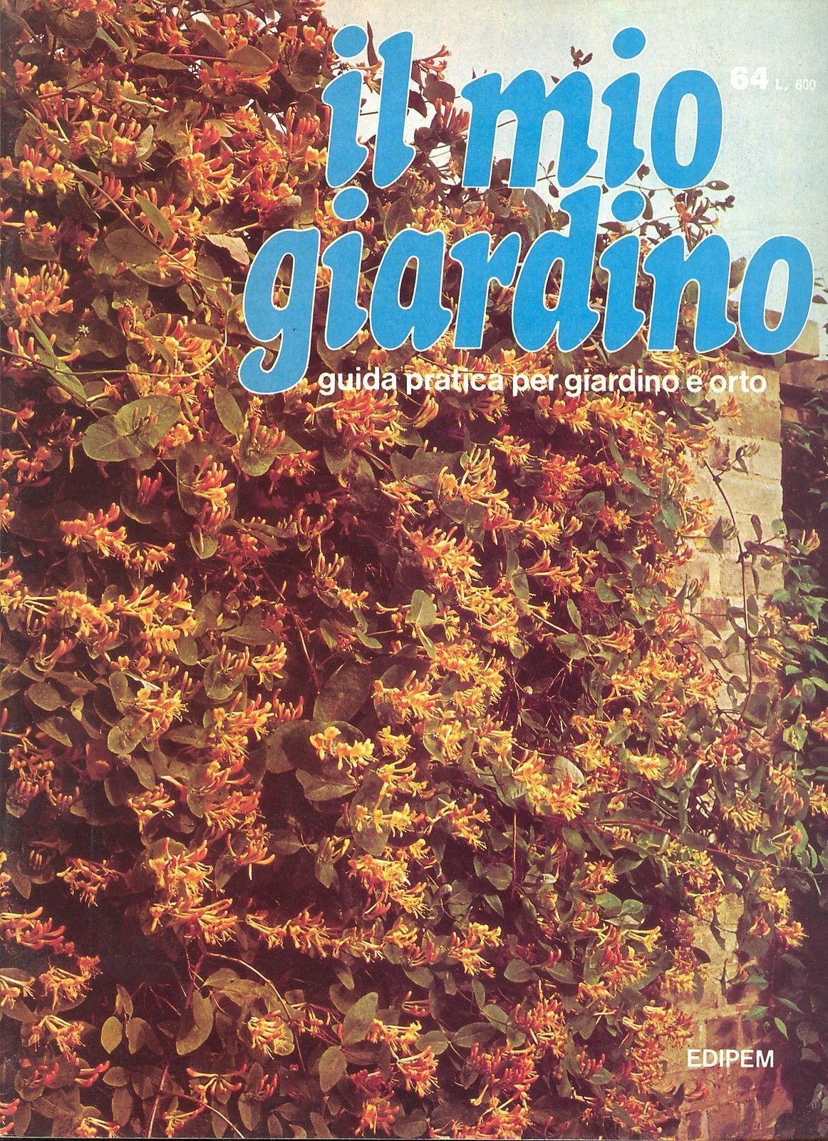 IL MIO GIARDINO N 64
