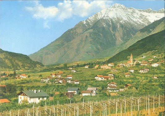 LAGUNDO - PANORAMA - V1984
