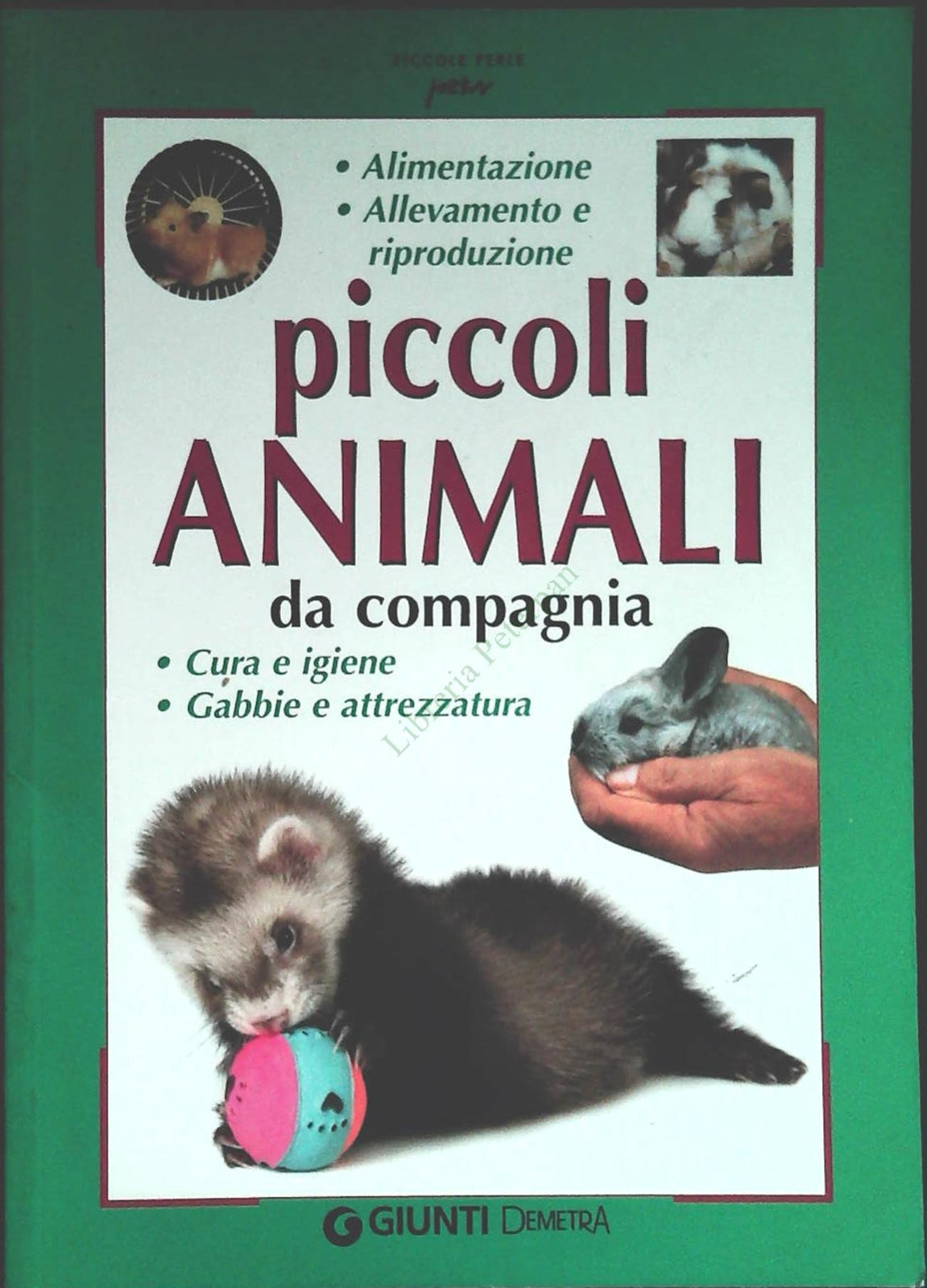 PICCOLI ANIMALI DA COMPAGNIA - GIUNTI DEMNETRA 2005 - OUTELT DEL LIBRO