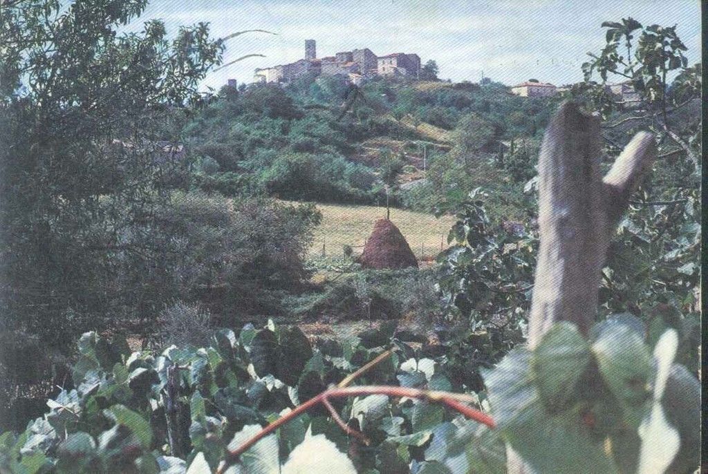 VETULONIA - PANORAMA - V1998