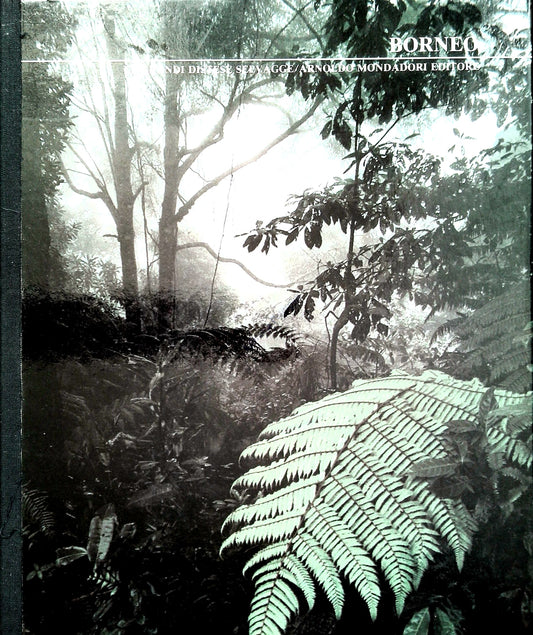 BORNEO - JOHN MACKINSON - LE GRANDI DISTESE SELVAGGE
