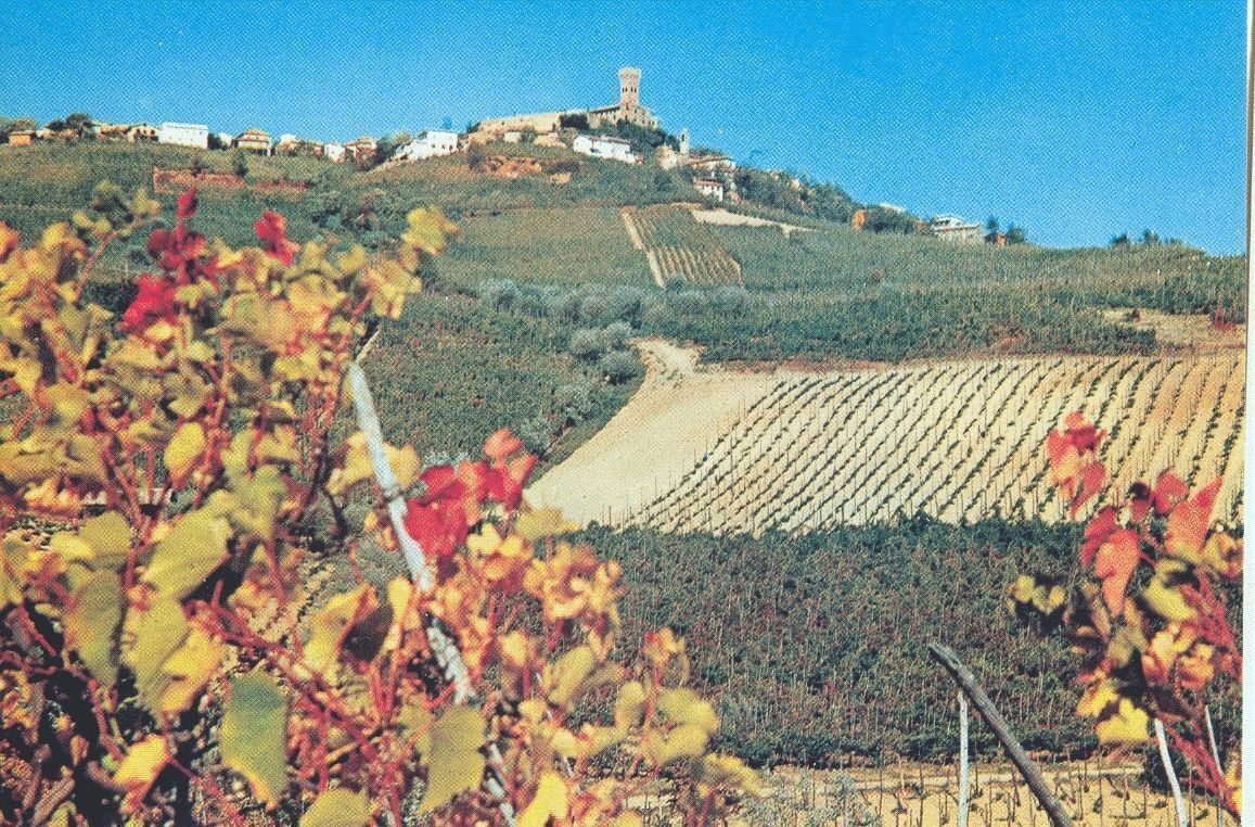 CIGOGNOLA - PANORAMA - NV