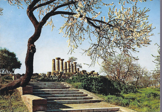 AGRIGENTO - TEMPIO A ( TEMPIO DI ERCOLE ) - VIB 1989 - FG